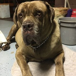 Meet your Posher, Brandon